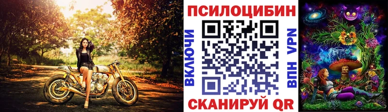 Псилоцибиновые грибы мухоморы  сайты даркнета официальный сайт  Омск 